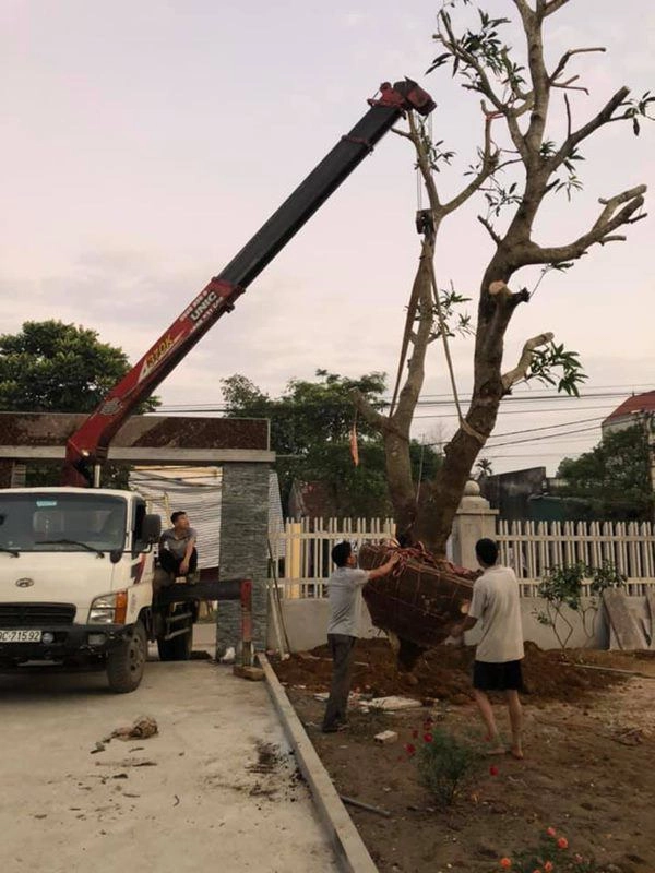 Anh em tam mao khoe biệt phủ rộng lớn hé lộ thêm 1 căn mới đang xây gây ngỡ ngàng - 8