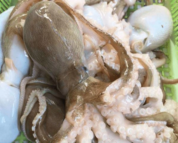 Bạch tuộc nướng thơm ngon với 2 cách đơn giản - 6