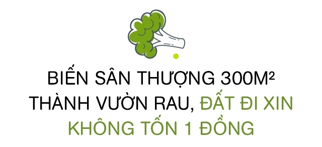 Bố sài gòn biến sân thượng thành vườn rau ăn không hết phải nài nỉ hàng xóm sang lấy về - 3