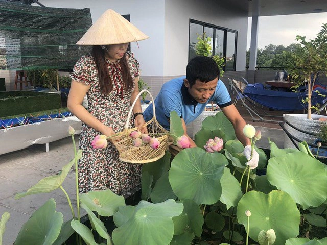 Bố sài gòn biến sân thượng thành vườn rau ăn không hết phải nài nỉ hàng xóm sang lấy về - 11