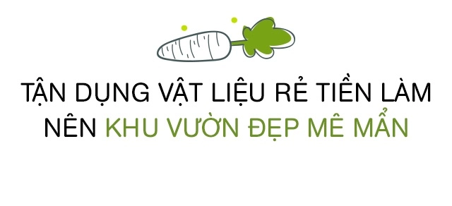 Bố sài gòn biến sân thượng thành vườn rau ăn không hết phải nài nỉ hàng xóm sang lấy về - 13