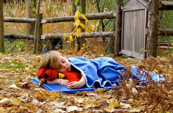 Cho trẻ ngủ trưa ngoài trời trường học ở úc tiết lộ bí mật về hệ miễn dịch của trẻ - 4