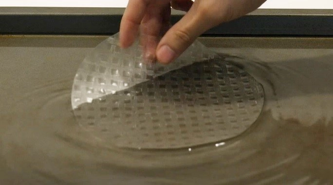 Đài truyền hình mỹ dạy cách làm bánh tráng cuốn sai khiến dân mạng việt nam phản ứng - 2
