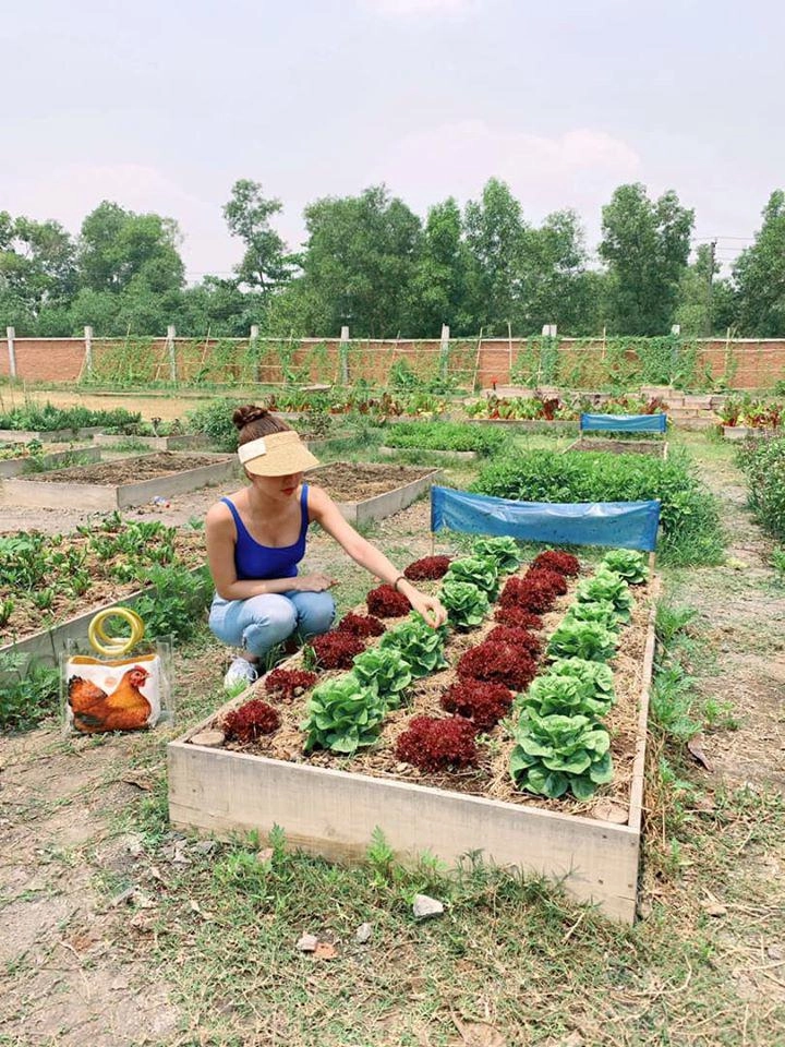 Đầu tư dao kéo3 lần tường vi đọ sắc cùng cô emhoa hậu hhen niêvẫn đẹp bất chấp - 19