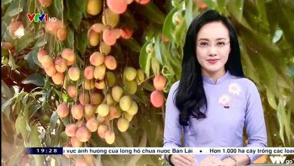 Đến btv hoài anh cũng mê đồ tím lịm tìm sim bất kể khi lên sóng bản tin quốc gia - 5