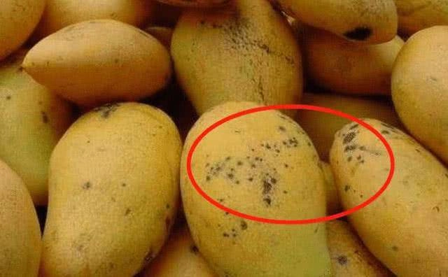 Đốm đen trên quả xoài to hay nhỏ thì ăn được và sự thật người mua giờ mới biết - 1