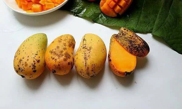 Đốm đen trên quả xoài to hay nhỏ thì ăn được và sự thật người mua giờ mới biết - 3