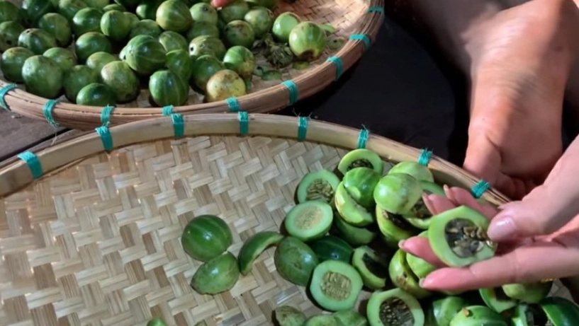 Hoa hậu hhen niê ăn nồi cháo lúc nhúc toàn kiến - 3