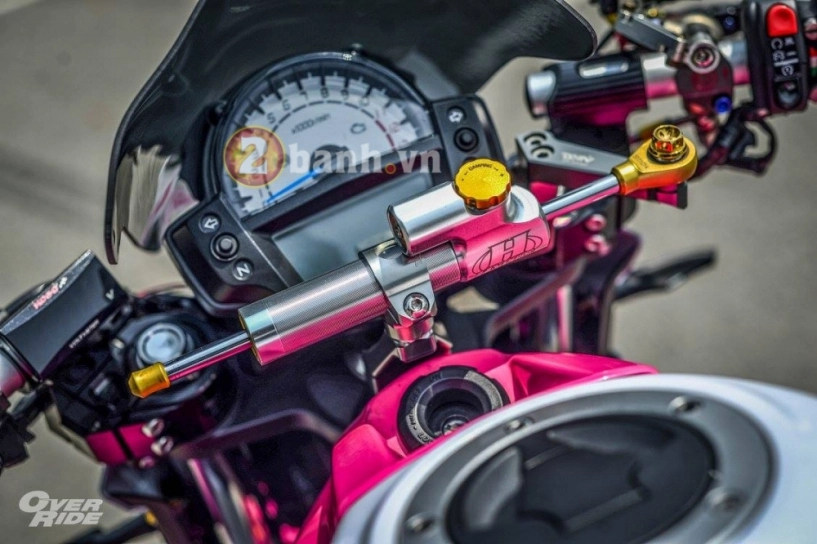 Kawasaki er-6n đầy nữ tính vởi bản độ pinky devilz - 8