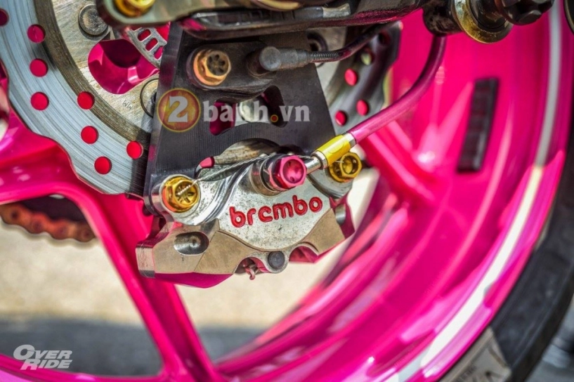 Kawasaki er-6n đầy nữ tính vởi bản độ pinky devilz - 11