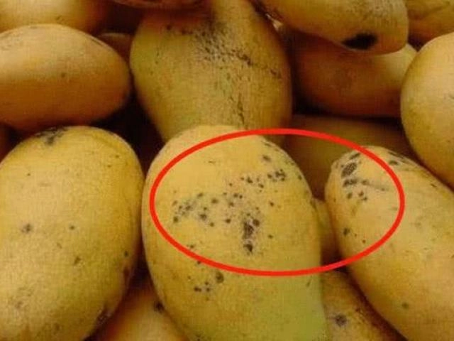Mua sầu riêng đừng dại chọn quả đực quả cái mới ngọt ngon và nhiều thịt - 5