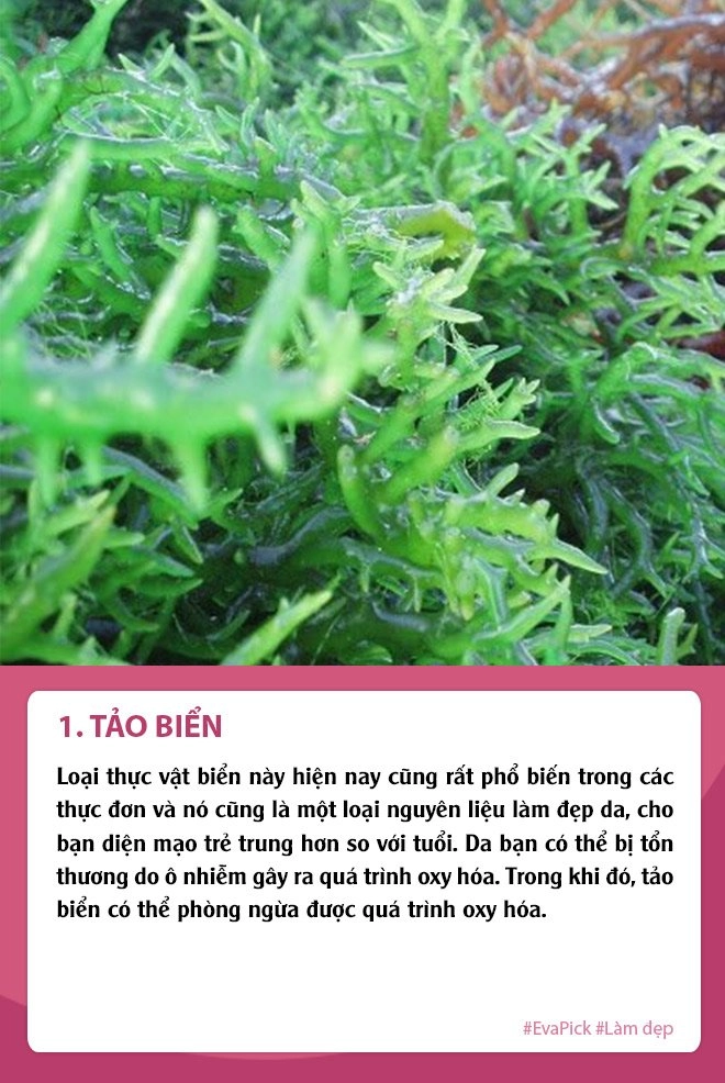 Không cần chi nhiều tiền nhiều mua collagen hãy tự bổ sung để da trẻ đẹp hơn so với tuổi - 1
