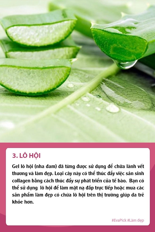 Không cần chi nhiều tiền nhiều mua collagen hãy tự bổ sung để da trẻ đẹp hơn so với tuổi - 3