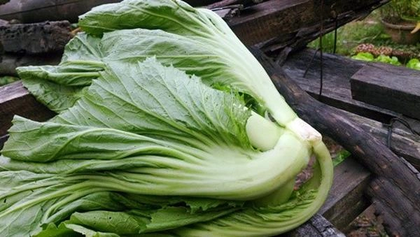 Mẹo làm dưa cải vàng giòn không khú váng mà người bán hàng không bao giờ tiết lộ cho bạn - 1