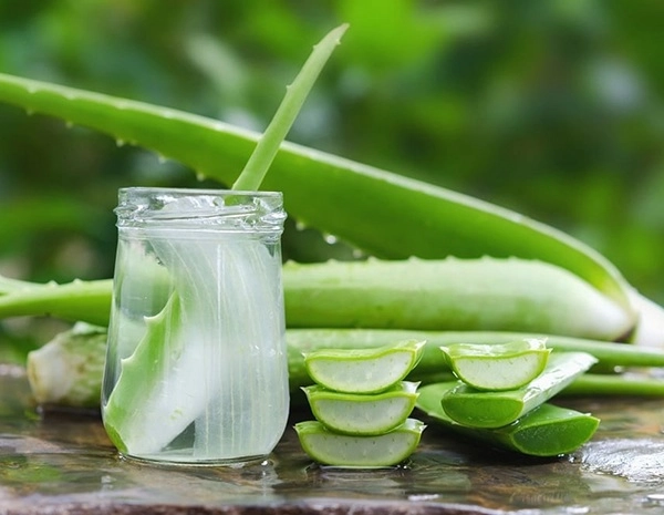 Mùa hè nàng khỏi lo da bắt nắng khi ra đường nhờ loạt mặt nạ tự nhiên rẻ tiền - 4