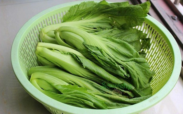 Mùa rau cải muối dưa chua theo cách này sẽ vàng ruộm thơm ngon để lâu không lo khú hỏng - 2