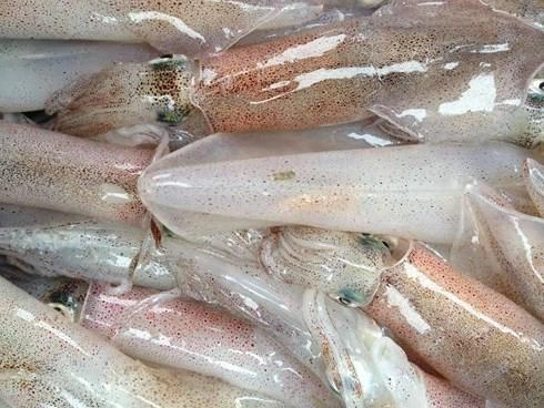 Mực tươi xào với rau gì để không bị tanh - 1