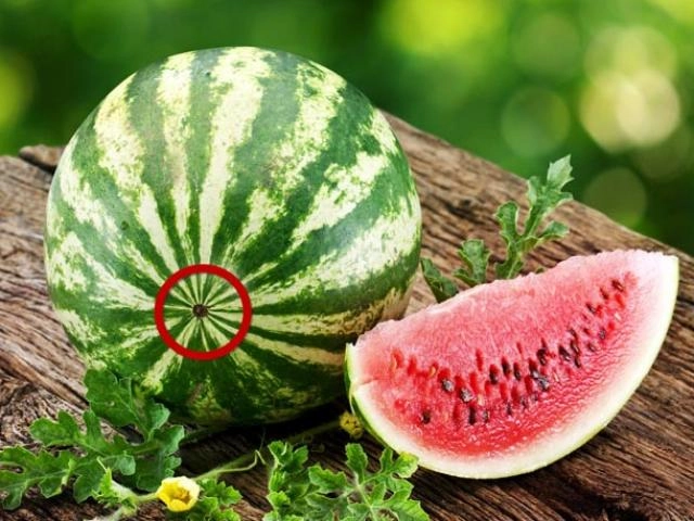 Nên thắng đường bằng nước hay bằng dầu đây là những gì chị em cần biết - 6