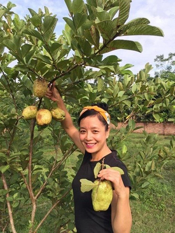 2 nữ nghệ sĩ mua nhà vườn thỏa đam mê rau củ chất đầy thuê người làm không xuể việc - 20