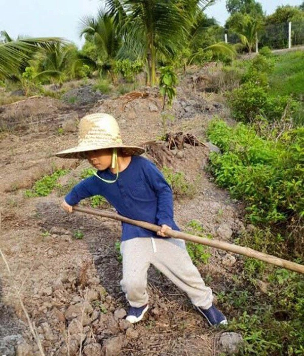 Sống trong biệt thự 40 tỷ con gái lý hải muốn bố mừng sinh nhật bình dân đến bất ngờ - 11