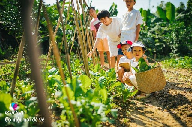 Tạm bỏ nhà to giữa phố mẹ hà nội lên núi nuôi cá trồng rau trong vườn 3000m - 23