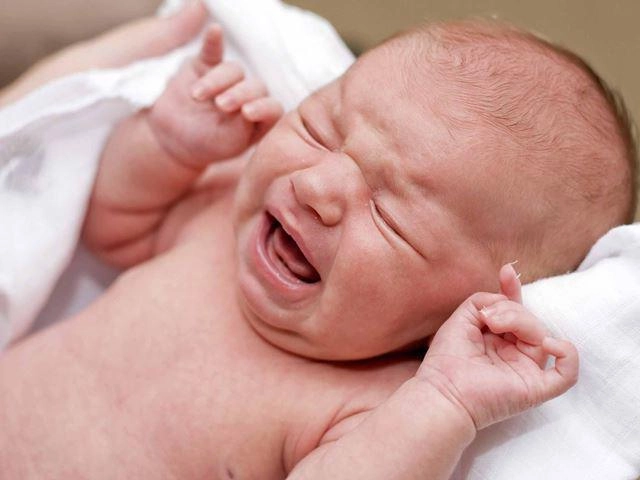 3 cách nấu cháo cá ngừ cho bé ăn dặm đơn giản siêu nhanh - 6