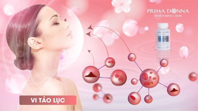Viên uống trắng da prima donna của úc trở thành làn gió làm đẹp mới - 1