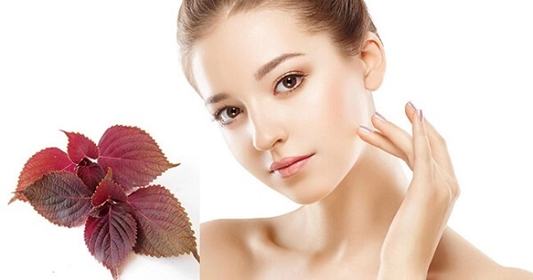 14 cách trị nám da lâu năm bằng thiên nhiên tại nhà hiệu quả nhất - 1