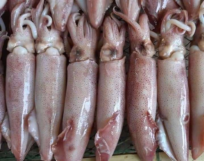 Cách làm mực chiên nước mắm giòn ngon bá cháy - 1