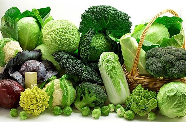 Chế độ ăn chuẩn giúp đánh bại mùi hôi cho chị em hội viêm màng cánh - 5