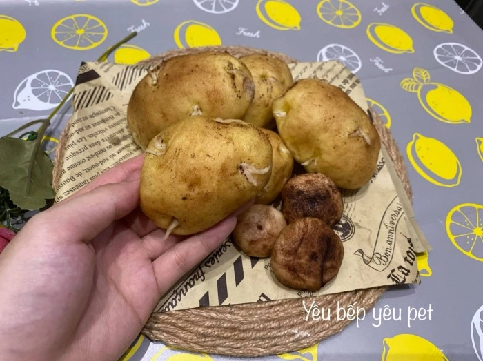 Cô gái làm bánh bao hình khoai tây mọc mầm hội chị em chấm 100 điểm vì quá giống - 2
