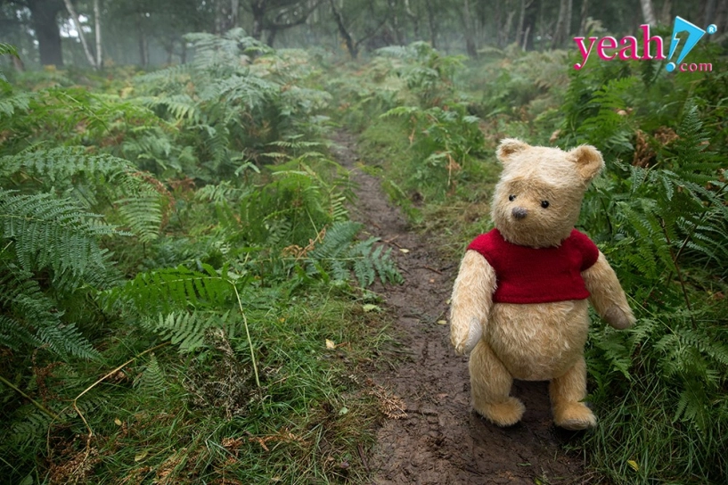 Gấu pooh xuất hiện ngây ngô và vô cùng dễ thương ở london trong trailer mới nhất của christopher robin - 13