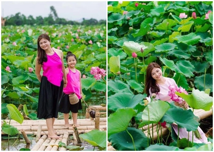 Mẹ 3 con hải phòng mê sen gợi ý thực đơn toàn món từ sen ngon bổ ai cũng thích - 1