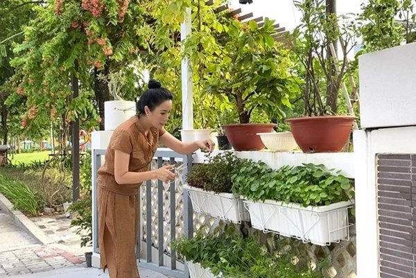 Ông xã đại gia tặng biệt thự 200m2 nghệ sĩ kim chi tự trồng rau ăn 5 bữa không hết - 6