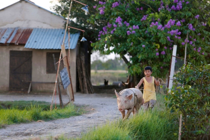 soai ca chăn lơn lương manh hai khoc hêt nươc măt đi tim con trong khi con la nha - 8