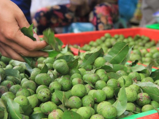Tranh thủ sấu vào chính vụ làm ngay 2 món sấu ngâm tuyệt ngon để cả năm không màng hỏng - 3