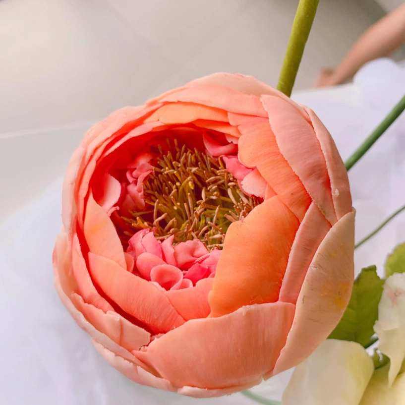 Tưởng vợ đại gia đức ankhoe đoá hoa đẹp lung linh lại gần mới biết sự thật ngỡ ngàng - 4