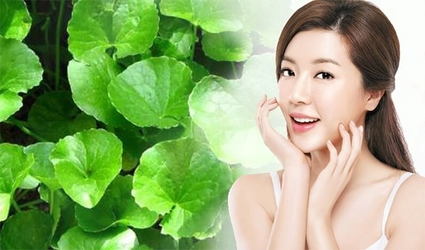 Cách trị sẹo rỗ trên mặt lâu năm tại nhà hiệu quả nhanh nhất - 9