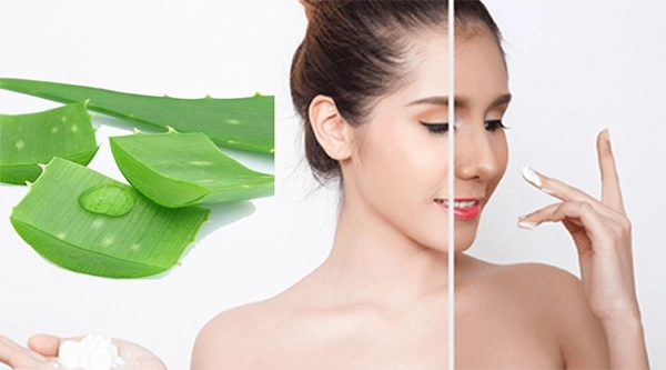 Nha đam có tác dụng gì với làm đẹp da mặt và dưỡng tóc - 3