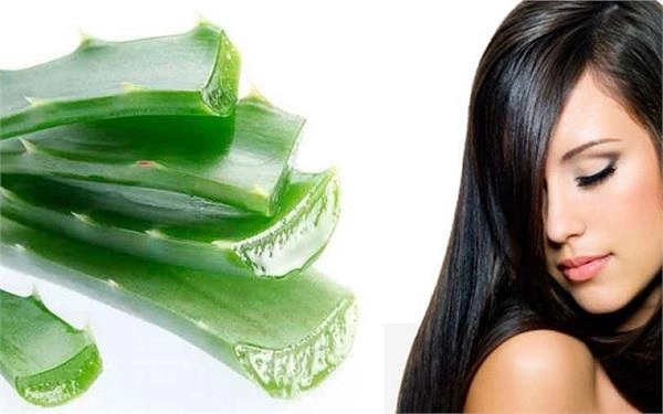 Nha đam có tác dụng gì với làm đẹp da mặt và dưỡng tóc - 5
