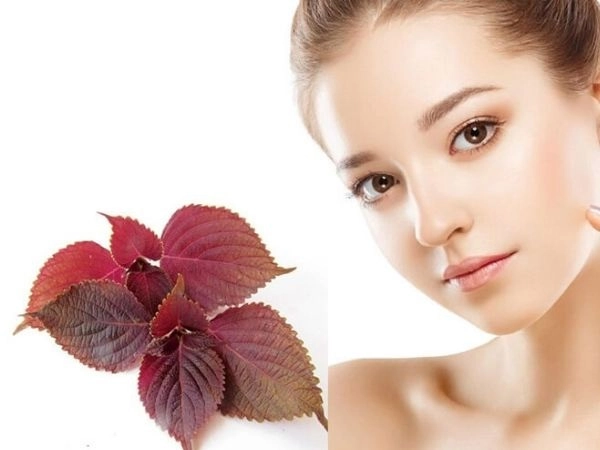 10 cách trị mụn thịt tận gốc tại nhà hiệu quả nhất hiện nay - 4