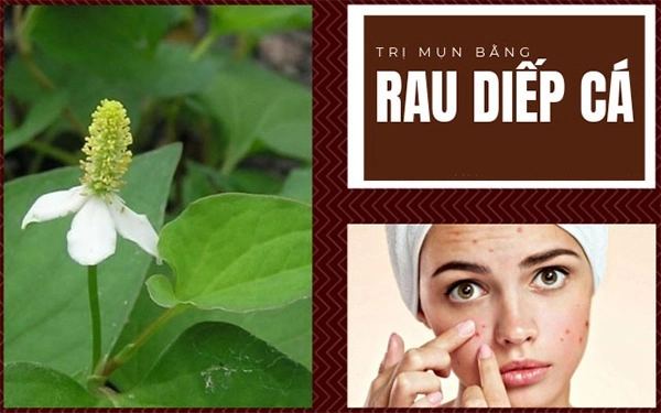 10 cách trị mụn thịt tận gốc tại nhà hiệu quả nhất hiện nay - 7