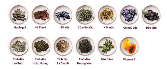 Dầu gội dược liệu xu hướng mới chăm sóc mái tóc bóng khỏe bồng bềnh - 2