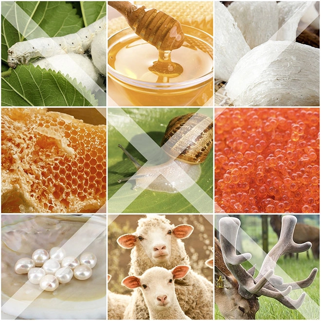 Hiện tượng mỹ phẩm thuần chay cocoon tại việt nam - 1