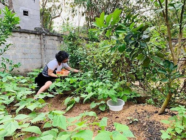 Hồng đăng đưa vợ con về nhà vườn dân tình ngỡ ngàng chỉ chú ý vào chi tiết này - 9