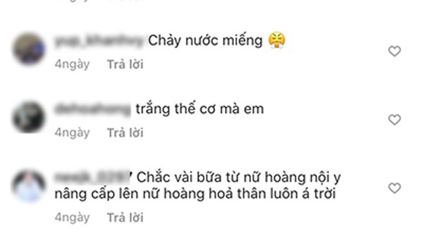 Ngoc trinh lien tuc mac loi thoi trang dan mang đồng loạt phản ứng - 4