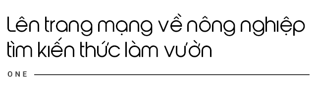 Ông bố đà nẵng trồng cả vườn rau như trang trại cẩu sen lên sân thượng rộng 30m - 3