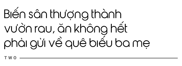 Ông bố đà nẵng trồng cả vườn rau như trang trại cẩu sen lên sân thượng rộng 30m - 17