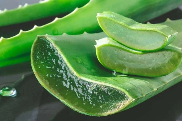 Thay đổi thời tiết dị ứng mề đay không chừa một ai và cẩm nang điều trị nhanh chóng - 4
