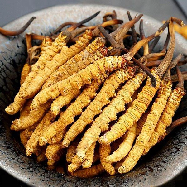 Bằng tuổi nhau nhưng ngọc trinh trẻ trung áp đảo lâm vỹ dạ - 9